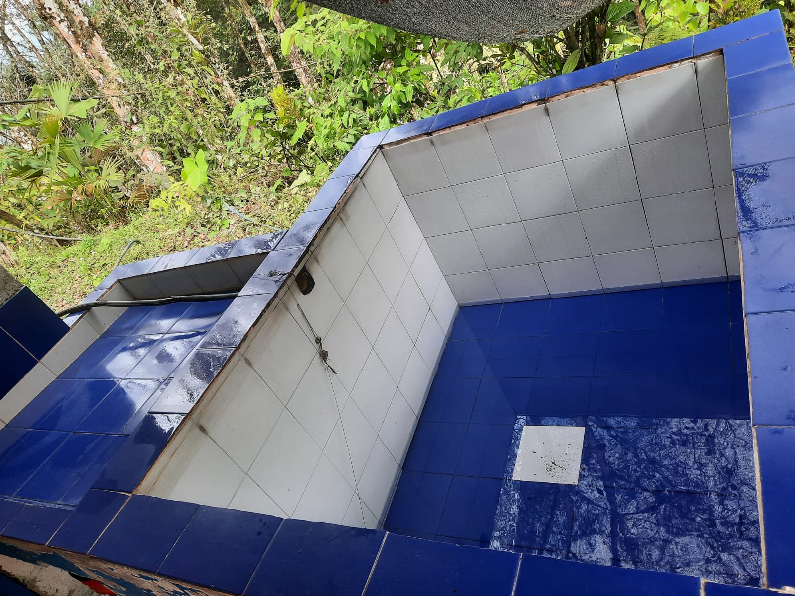 Finca productiva en Samaná, Caldas - foto 10
