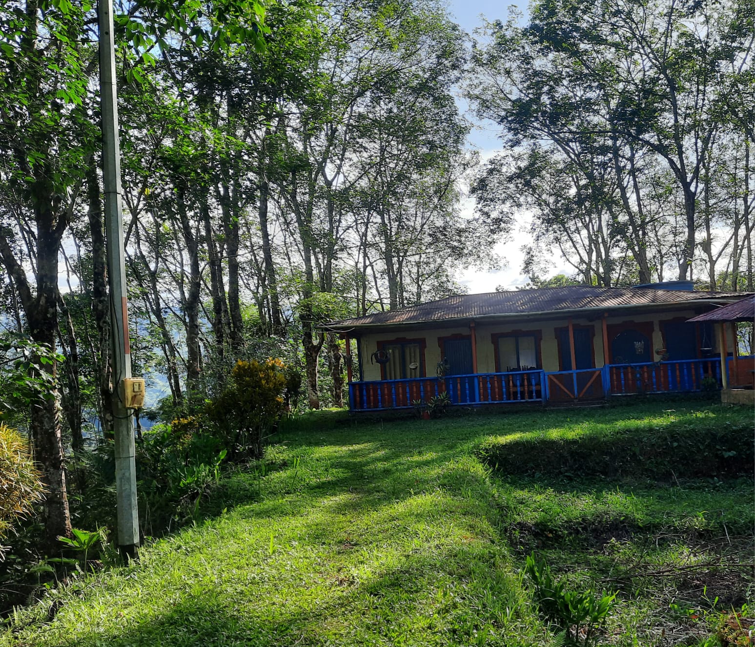 Finca productiva en Samaná, Caldas - foto 1