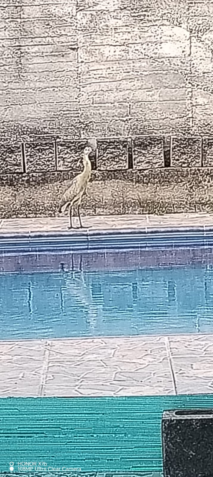 Casa Campestre – Brisas de la Montaña - foto 10